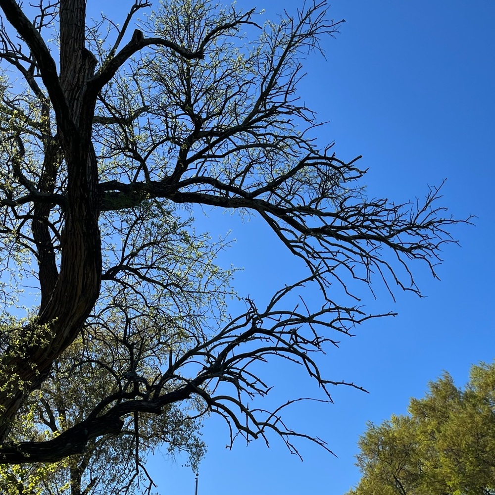 Meet your Posher, El